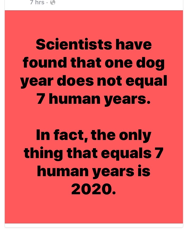 1596062476376.jpeg