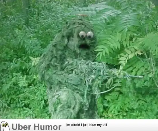 1596072969641.png