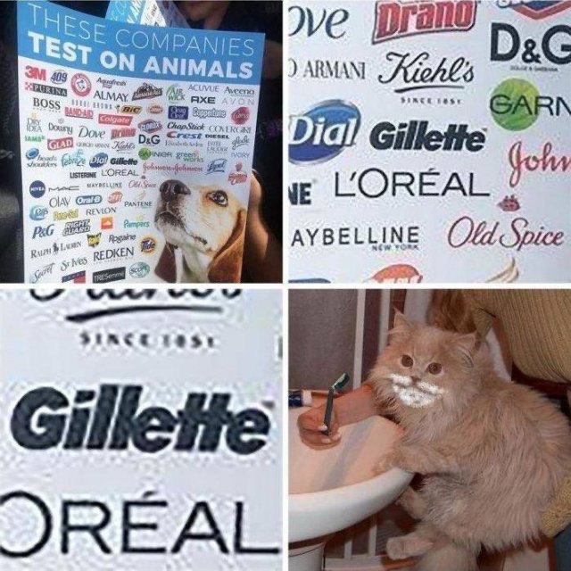 1596136950_ud2q6c54ka.jpeg