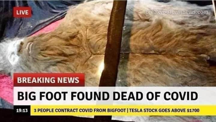 1596198086435.jpeg