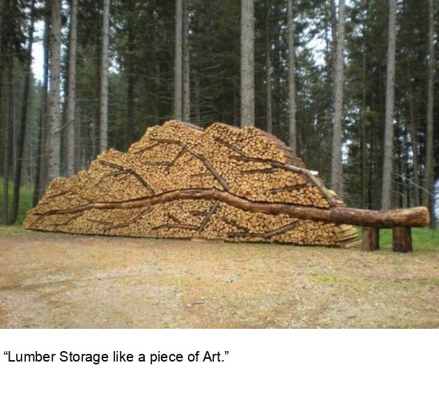 1596258908411.jpeg