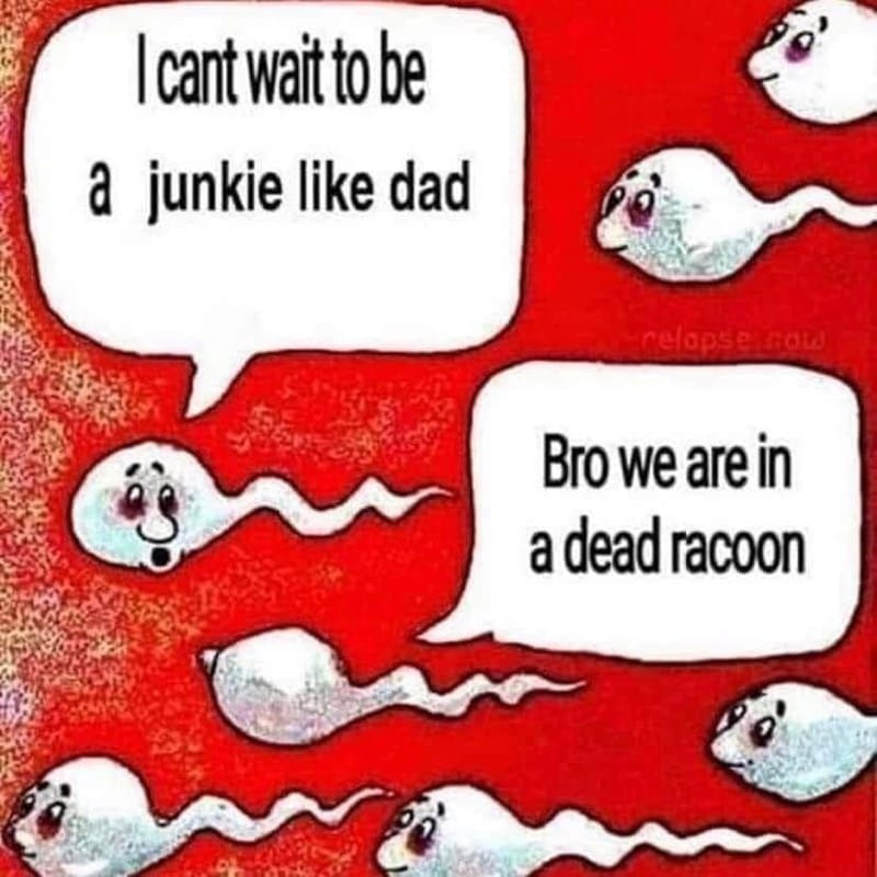 1596456149814.png
