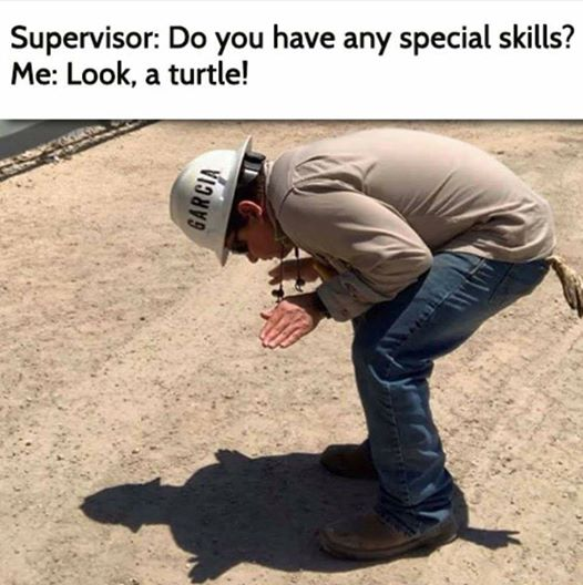 1596512157306.png