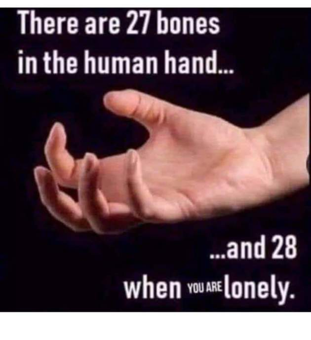1596543888886.png