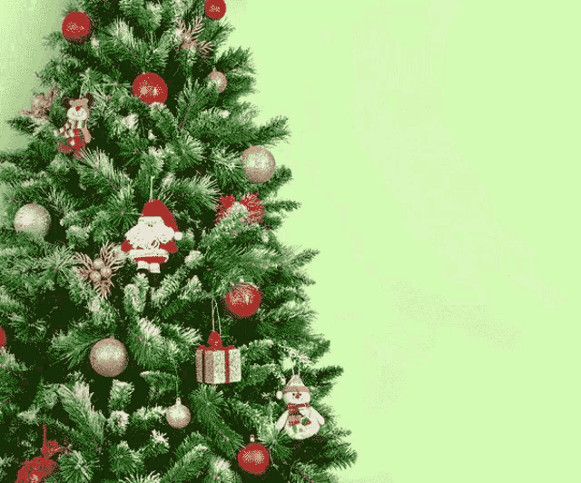 15966.gif