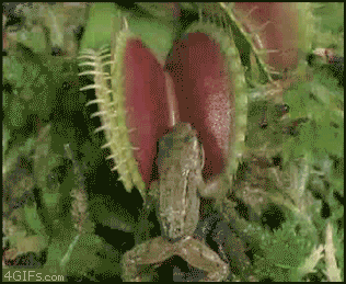 1596830986322.gif
