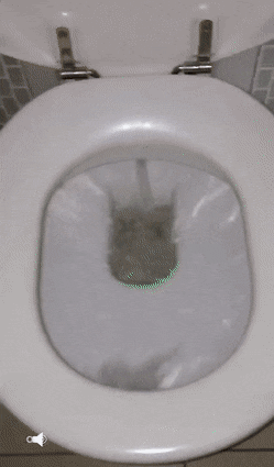 1596836345639.gif