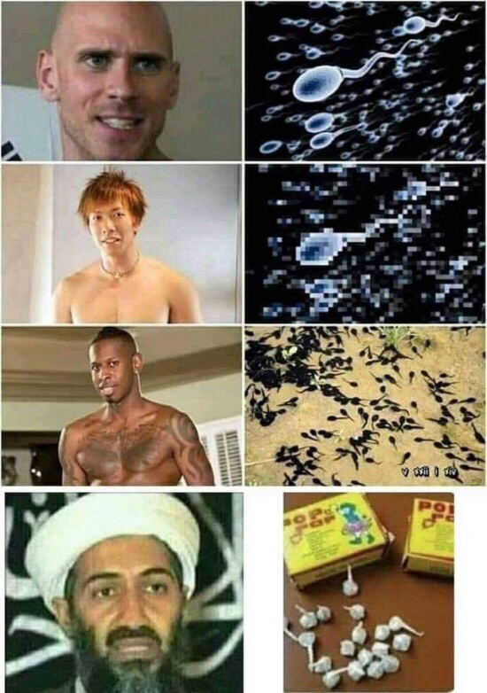1596884712720.png