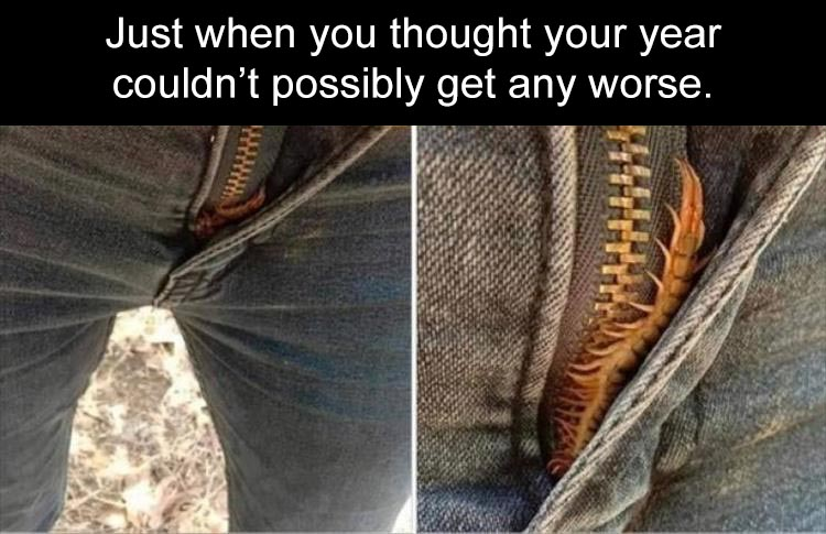 1596961578834.png
