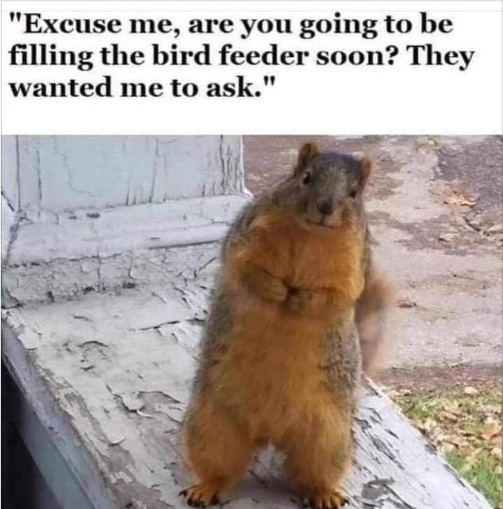 1597082277559.png