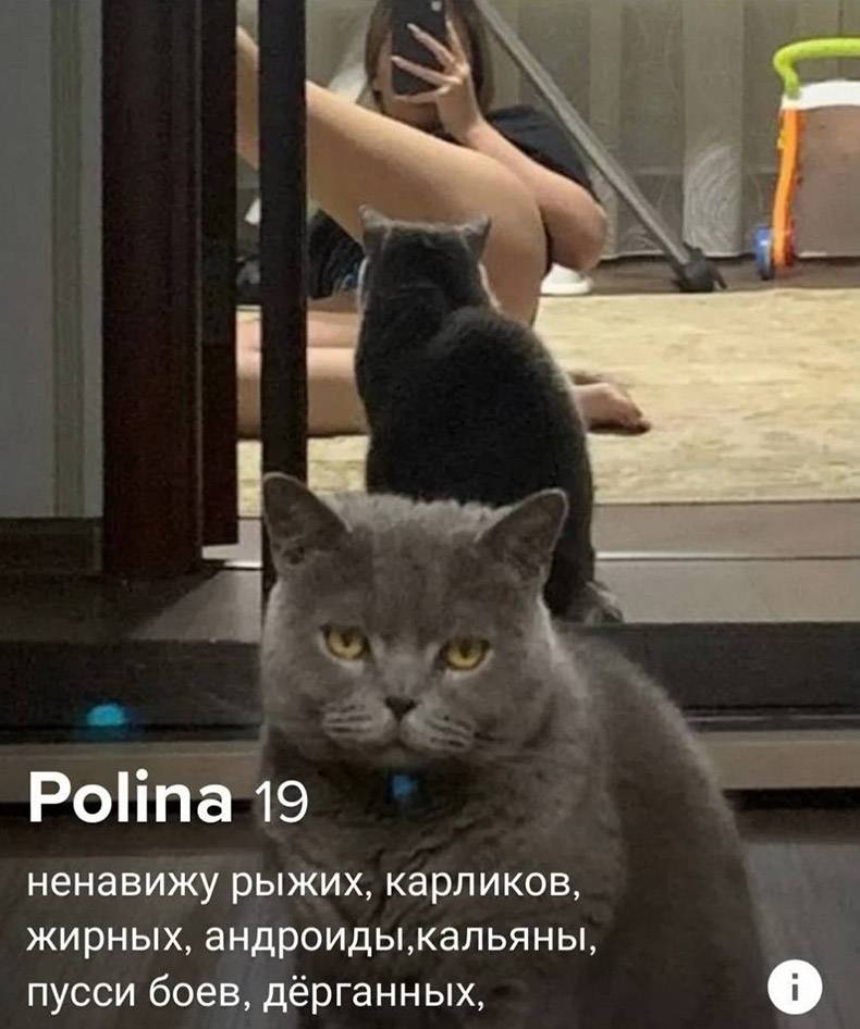 1597262149940.jpeg