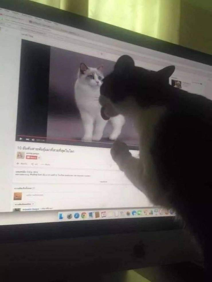 1597393980697.png
