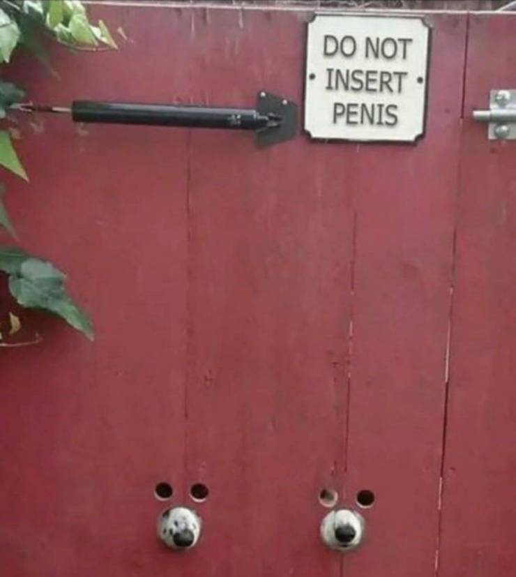 1597406578793.png