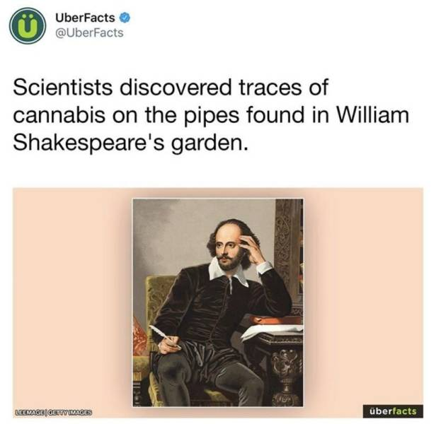 1597411366762.png