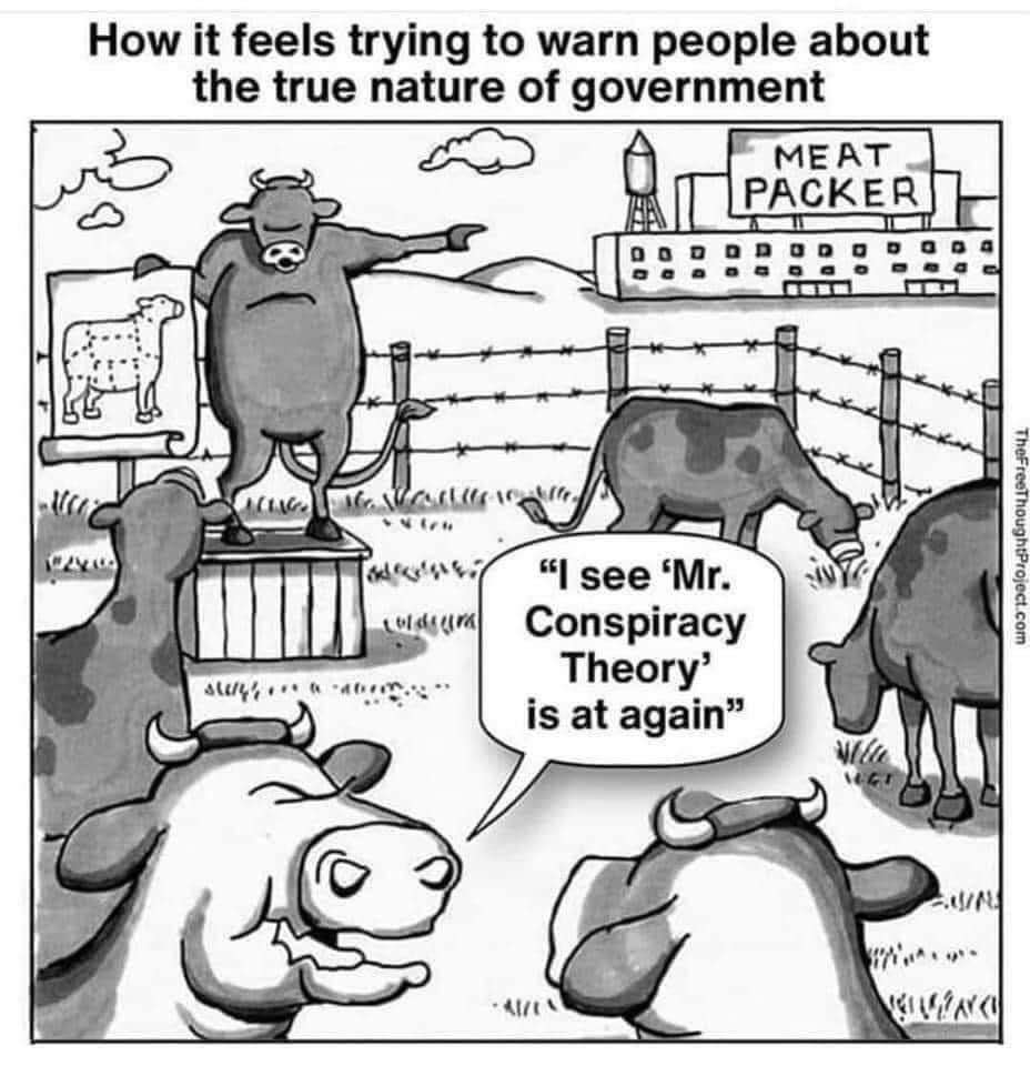 1597539306342.png