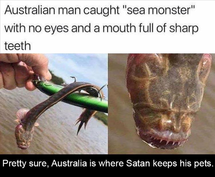 1597553888993.png