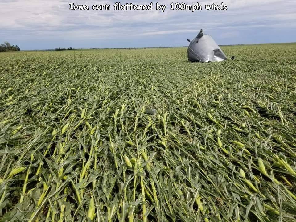 1597607501019.jpeg