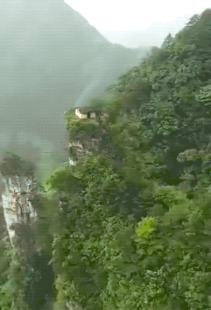 1597769234_siqws2iq5v.gif