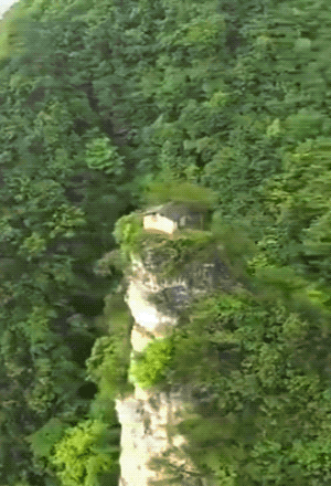 1597769241_uoydfxvrgo.gif
