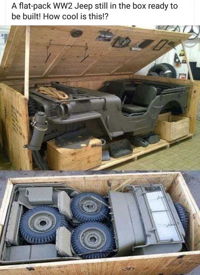 1597782439521.jpeg