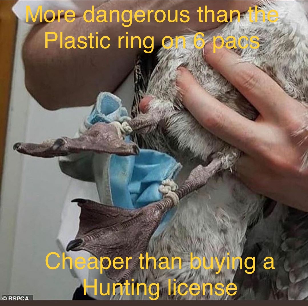 1598053124719.jpeg