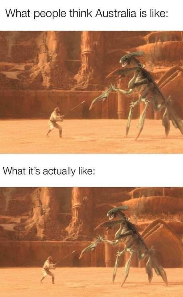 1598298650729.jpeg