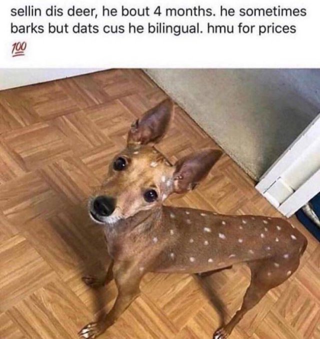 1598386500_q22bcak606.jpeg