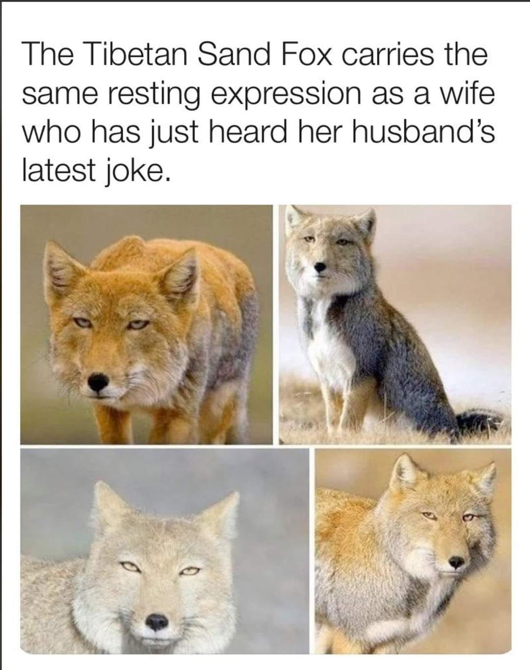 1598418816584.png