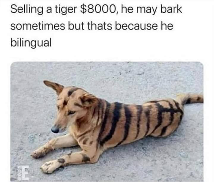 1598424708079.png
