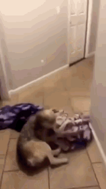 1598656785068.png