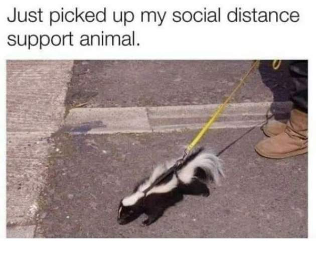 1598674247467.png