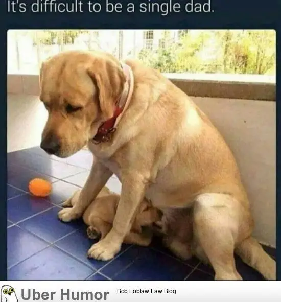1598755363357.png