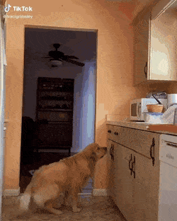 1598823762891.gif