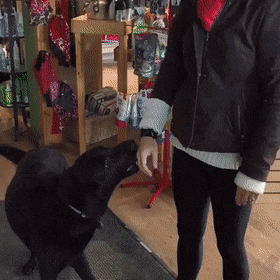 1598823986000.gif