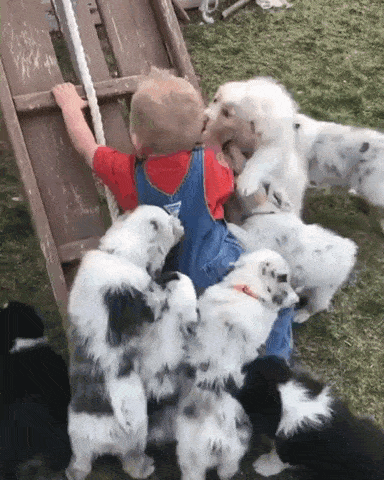 1598827127162.gif