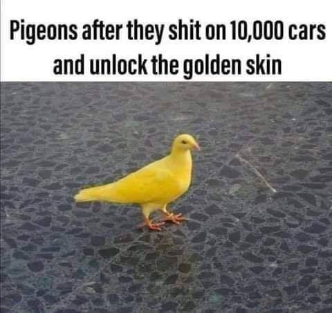 1598984960365.png