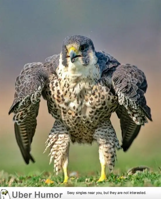 1599121579475.png