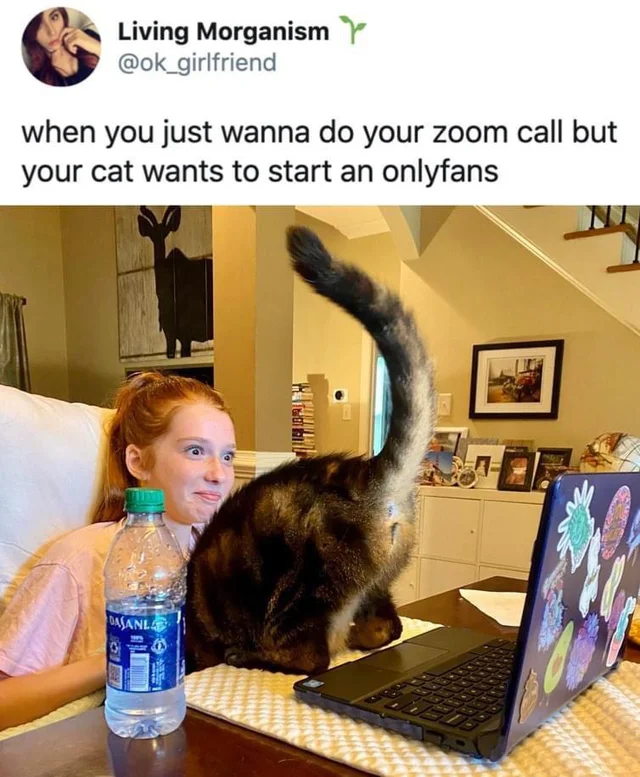 1599191727832.png