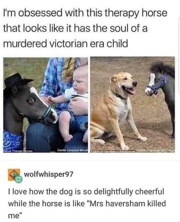 1599495428_dvpzxuru42.jpeg