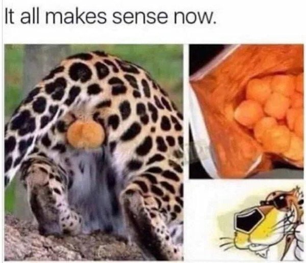 1599495485_73w7hk3yxv.jpeg