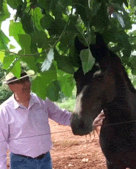 1599507457_7akd03tm51.gif