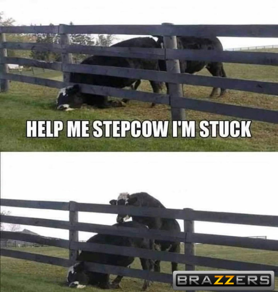 1599709372232.png