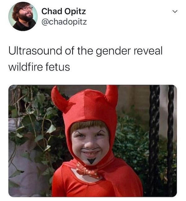 1599757444_afkxtsa6u9.jpeg