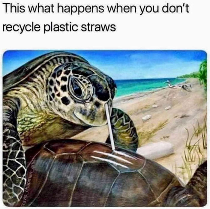 1599943088230.jpeg