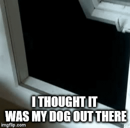 1599943680088.gif