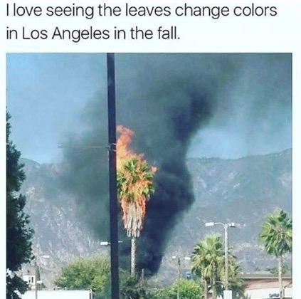 1600221507228.jpeg