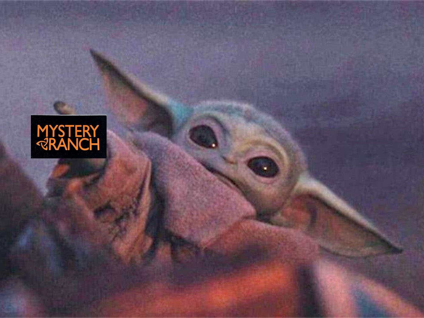1600222930940.jpeg