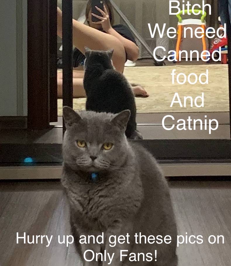 1600390701719.jpeg