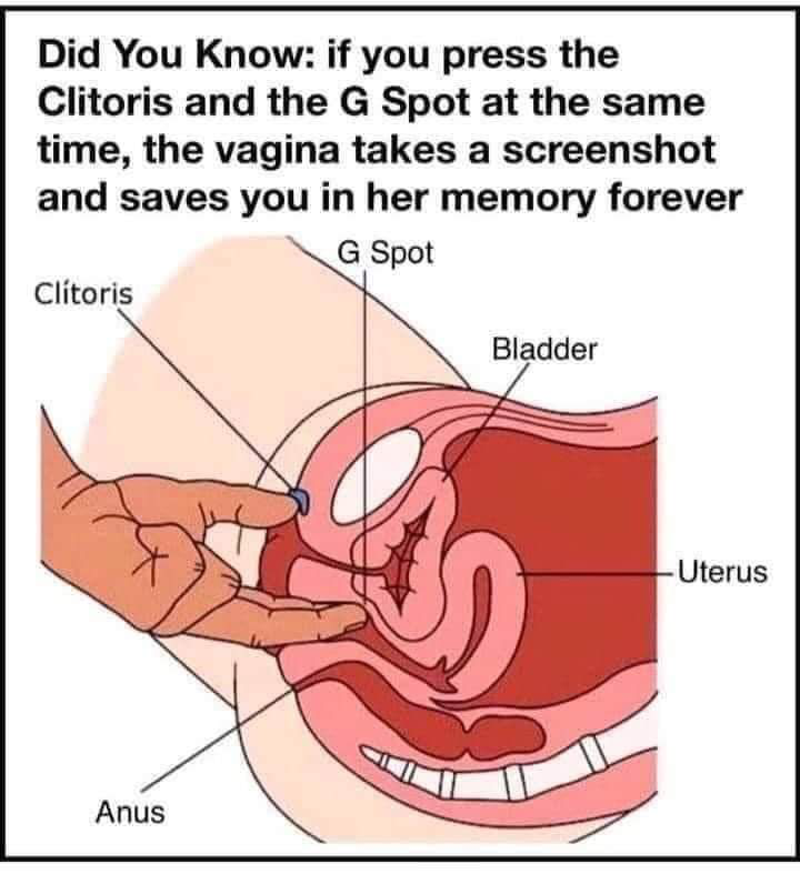 1600635485544.png