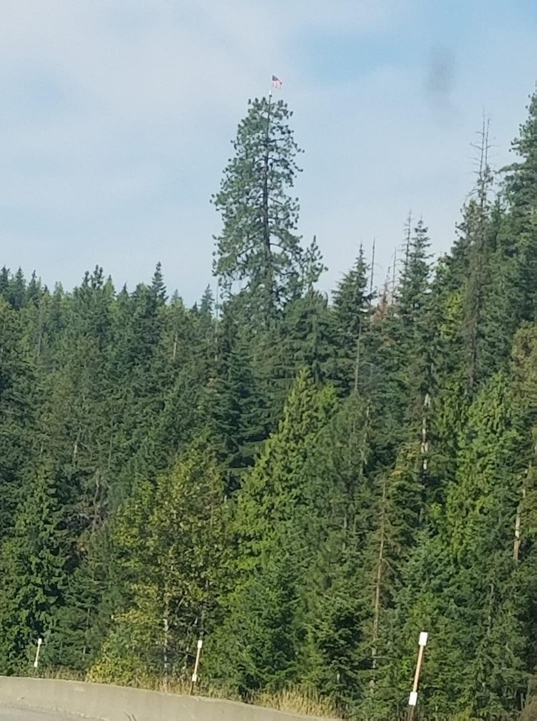 1600737831024.png